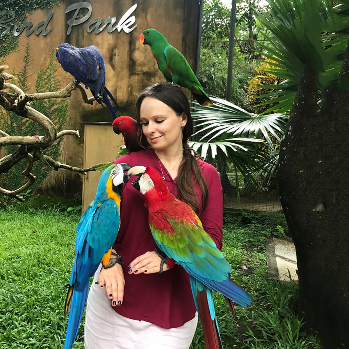 Vé Tham Quan Bali Bird Park, Indonesia