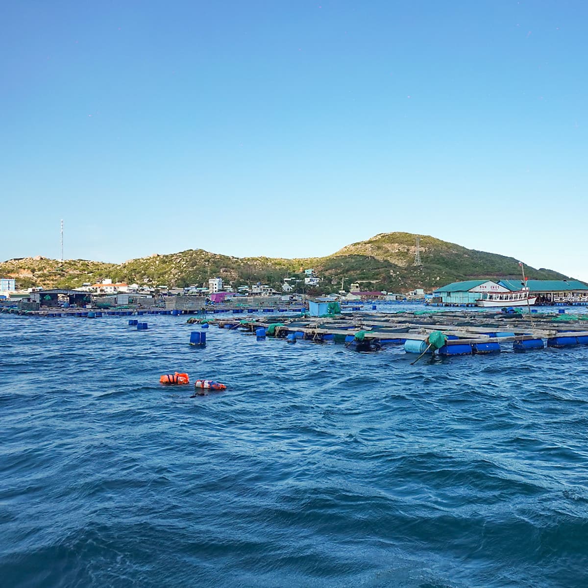 Tour Du lịch Bình Ba 2 Ngày 2 Đêm - Tiệc Bar trên biển - BBQ Hải sản