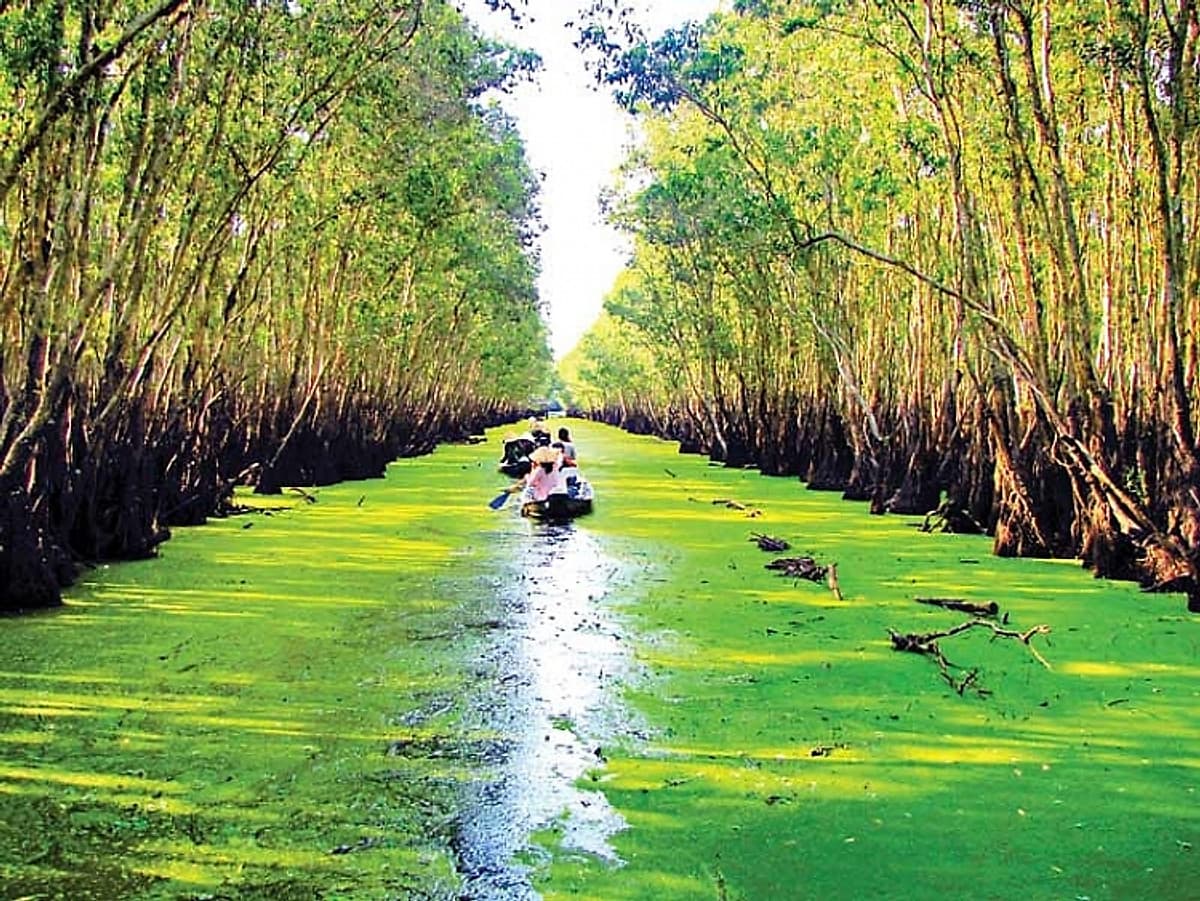 Tour Miền Tây 4N3Đ khởi hành Hà Nội