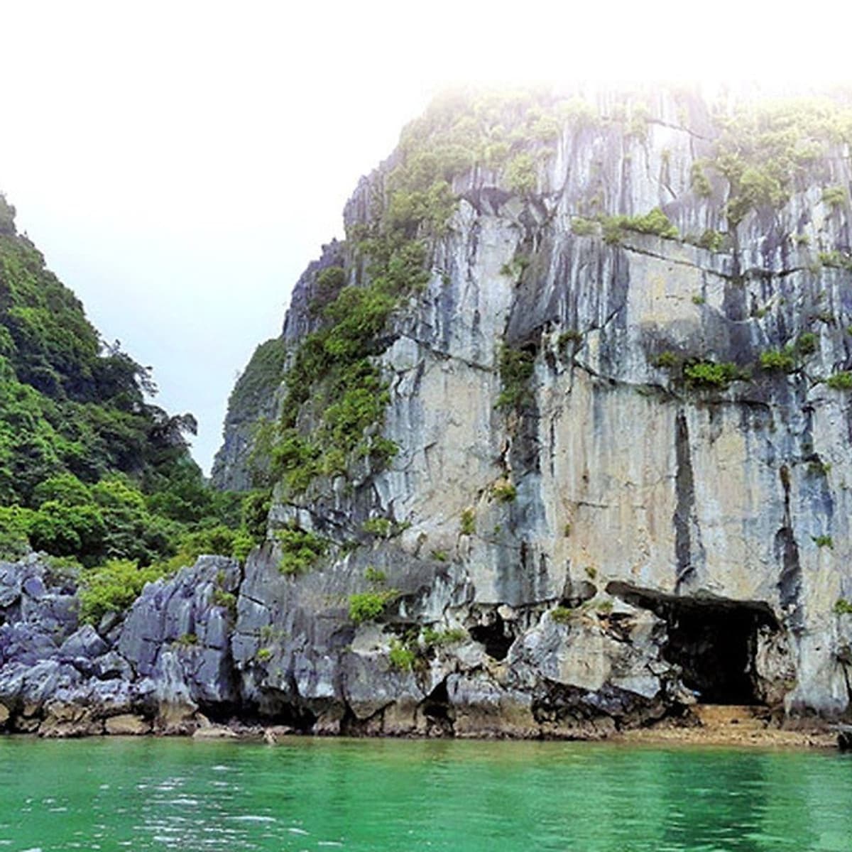 Combo Trọn Gói 2N1Đ Ngủ Đêm Trên Du Thuyền 5 Sao Dynasty Of The Seas Cruises Siêu Hot Tại Vịnh Hạ Long (Miễn Phí Chèo Thuyền Kayak, Câu Mực Đêm...)
