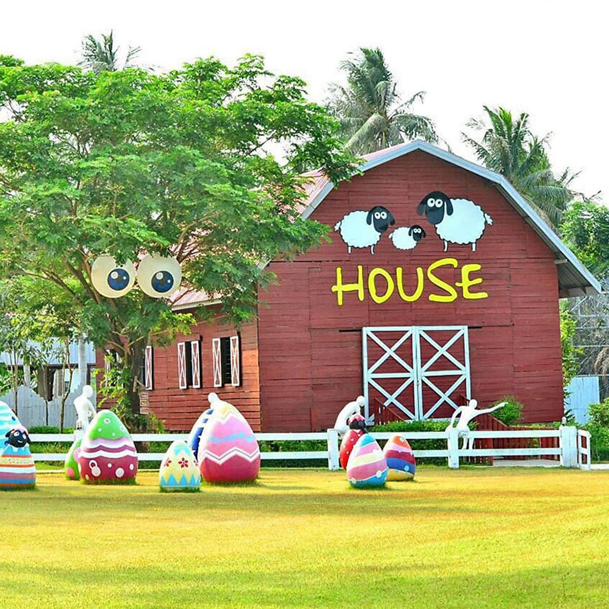 Vé Nông Trại Cừu Swiss Sheep Farm Pattaya