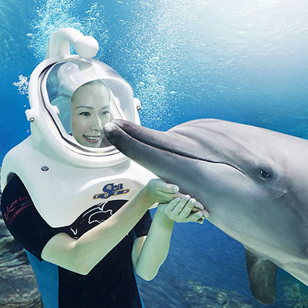 Vé Tham Quan Adventure Cove Waterpark Singapore