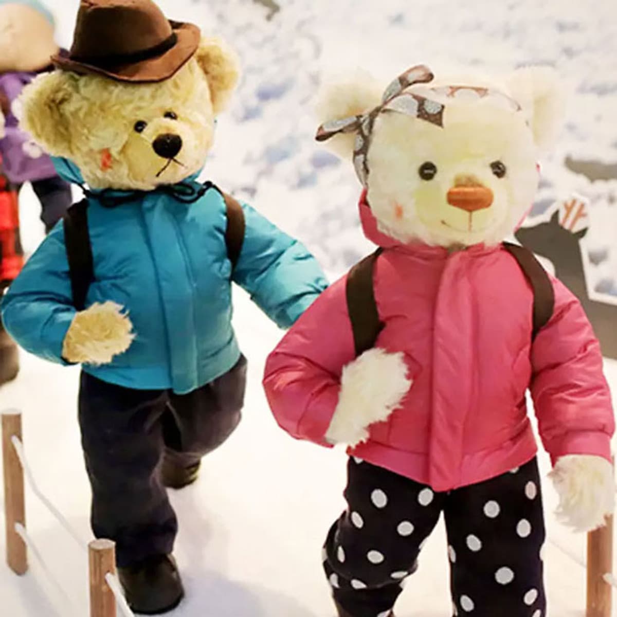 Vé Bảo Tàng Gấu Teddy Jeju, Hàn Quốc