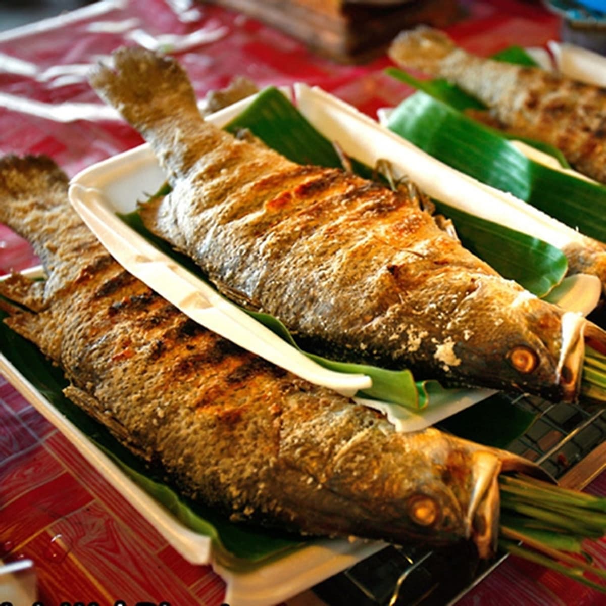 Tour 2N1Đ Hà Nội - Cao Nguyên Mộc Châu - Các Mùa Hoa - Đồi Chè Trái Tim - Chợ Pà Cò, Khởi Hành Thứ 7 Hàng Tuần
