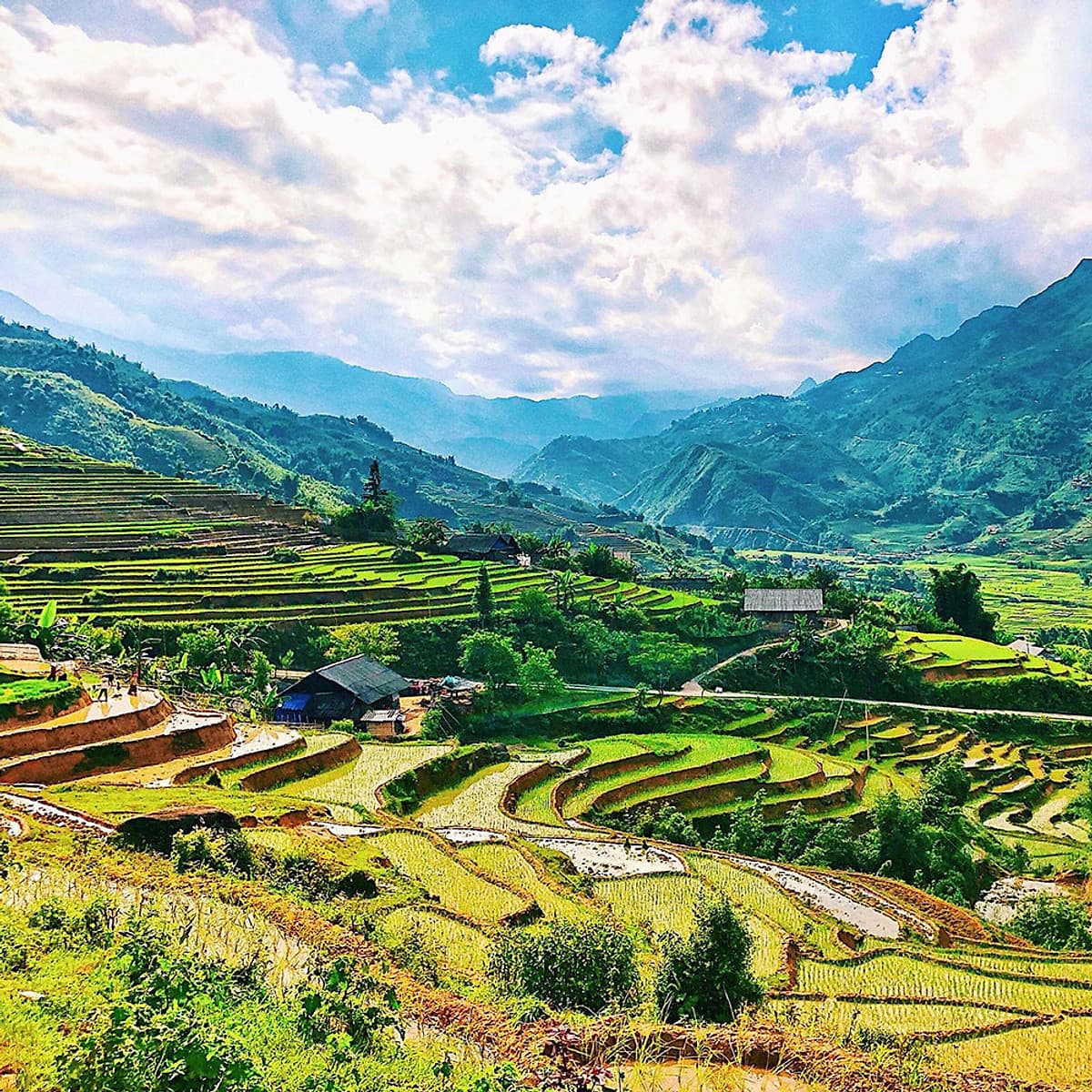 Tour Mù Cang Chải - Sapa - Ngọc Chiến 3N2Đ, Khởi Hành Thứ 6 Hàng Tuần & Dịp Lễ