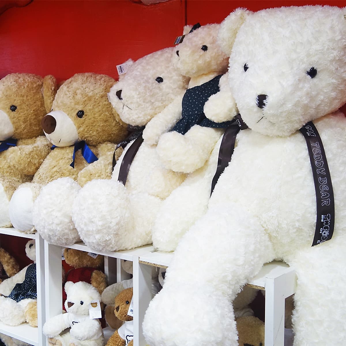 Vé Tham Quan Bảo Tàng Gấu Teddy Island Pattaya, Thái Lan