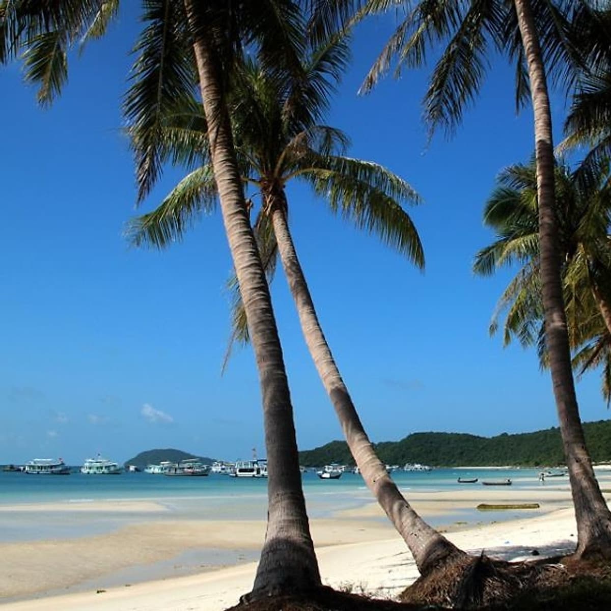 Tour Phú Quốc 3N2Đ Từ HCM, Bay Vietnam Airlines, Khách Sạn 3 Sao, Khởi Hành Hàng Tuần & Dịp Lễ Tết