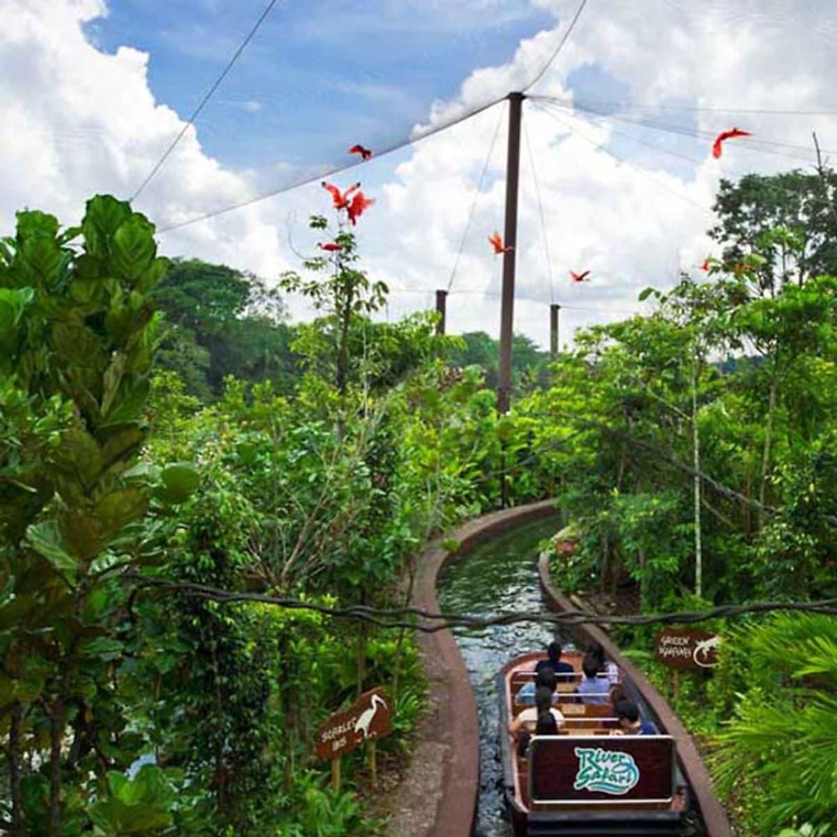 Vé Tham Quan River Safari Singapore