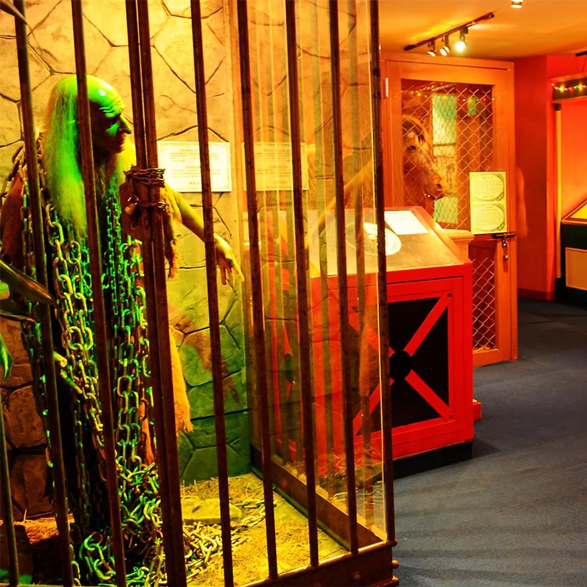 Vé Ripley'S World Of Entertainment Pattaya, Thái Lan (Loại Vé 7 Khu Triễn Lãm)