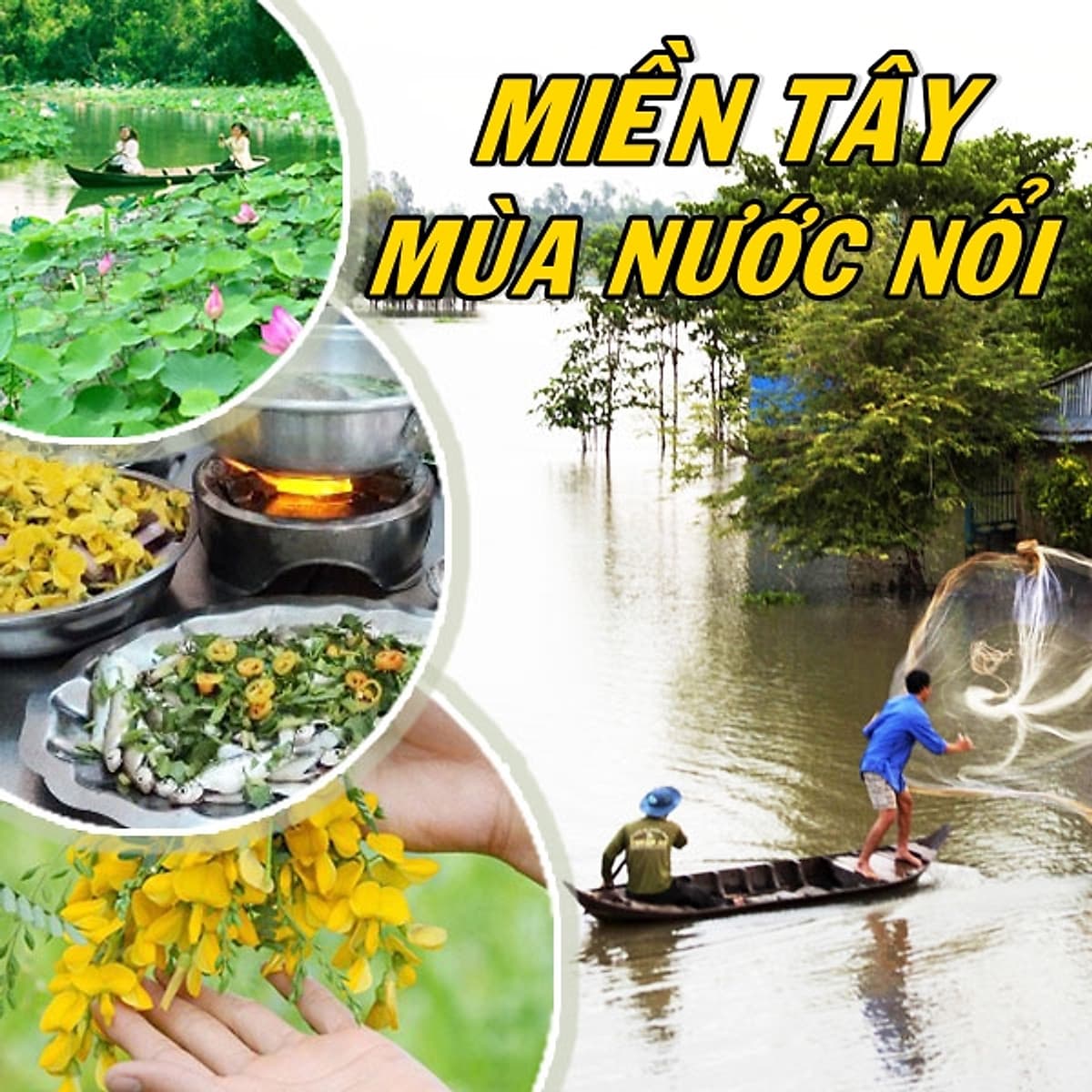 Tour Mùa Nước Nổi 2N1Đ: Cao Lãnh - Sa Đéc - Tràm Chim Tam Nông - Đồng Tháp Mười, Khởi Hành Thứ 7 & Dịp Lễ