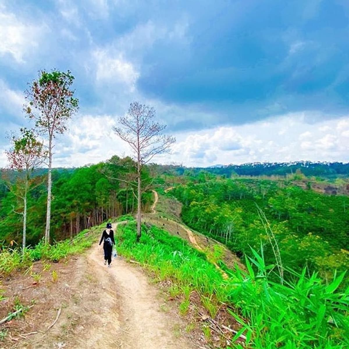 Tour 2N2Đ Sài Gòn - Thác Phi Liêng - Lâm Đồng - Trekking Đại Ngàn Tây Nguyên, Khởi Hành Tối Thứ 6 Hàng Tuần