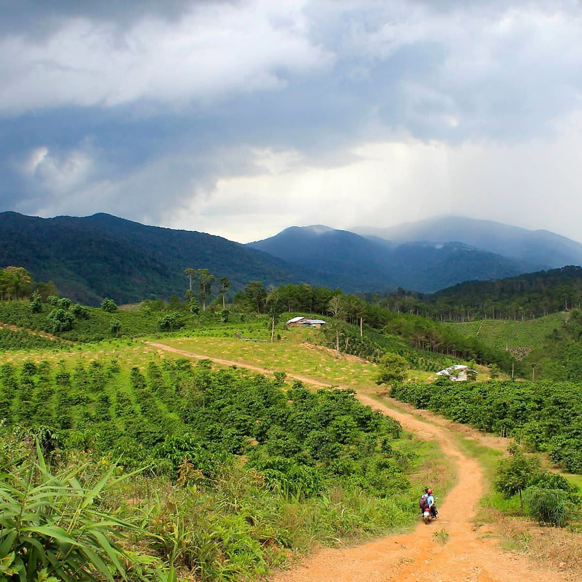 Tour 2N2Đ Sài Gòn - Thác Phi Liêng - Lâm Đồng - Trekking Đại Ngàn Tây Nguyên, Khởi Hành Tối Thứ 6 Hàng Tuần