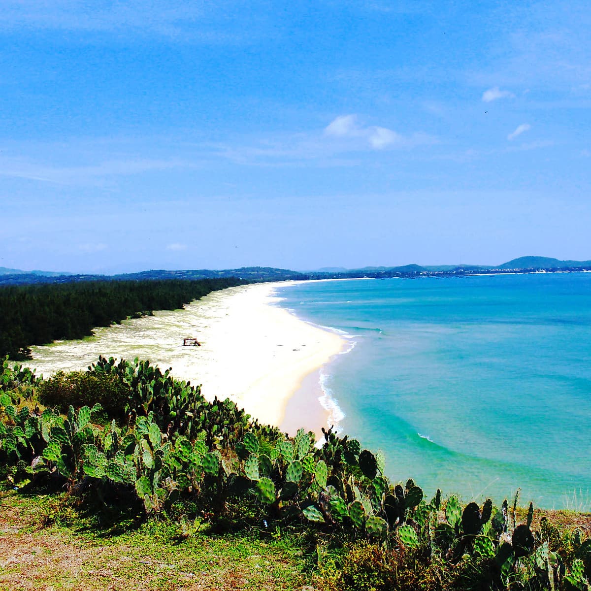[Tour Tết] Tour tham quan PHÚ YÊN – QUY NHƠN – KỲ CO – EO GIÓ 3 ngày 2 đêm khởi hành mùng 2,3,4 Tết (13,14,15/2/2021) tại thành phố Hồ Chí Minh bằng máy bay Vietjet Air