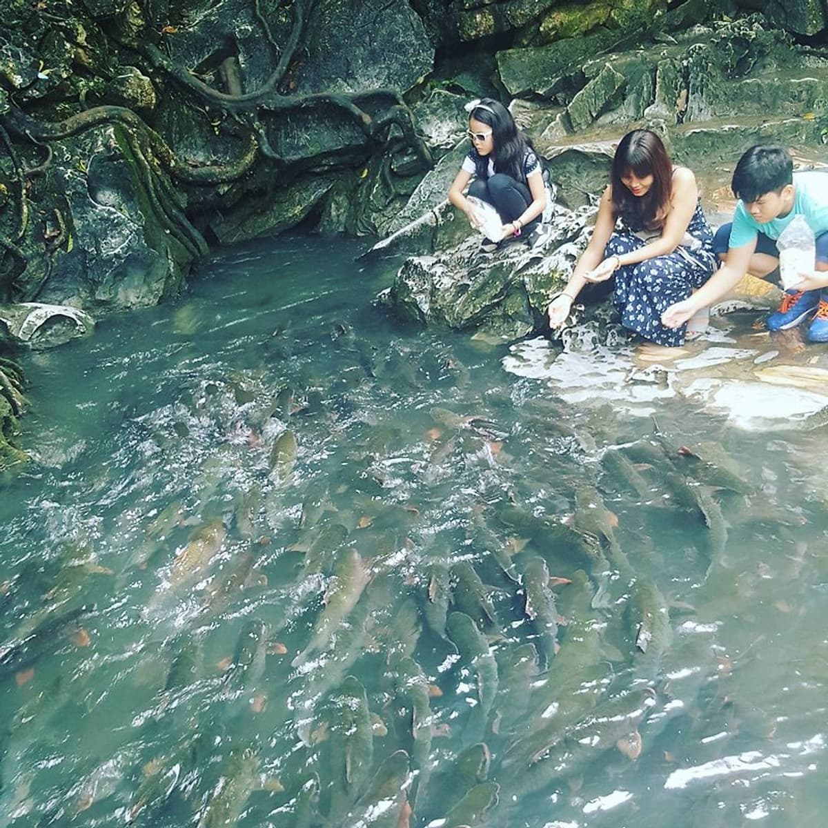 Tour 4N3Đ Hà Nội - Mai Châu - Pù Luông - Suối Cá Thần - Thung Nham - Chùa Tam Chúc, Khởi Hành Thứ 5 Hàng Tuần & Dịp Lễ Tết