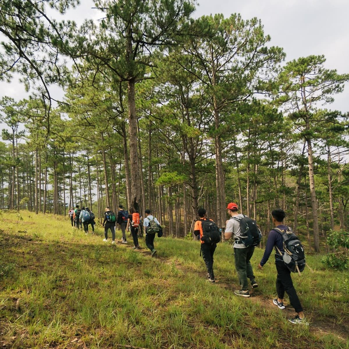 [Tour Tết 2021] 2N3Đ Sài Gòn - Trekking Núi Bidoup - Sông Đa Nhim - Lâm Đồng - Chinh Phục Đỉnh 2287m, Xe Giường Nằm, Khởi Hành Tối Mùng 4 Tết