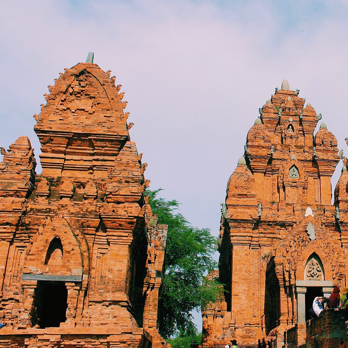 [Tour Tết] Tour tham quan Ninh Chữ - vịnh Vĩnh Hy 3 ngày 2 đêm khởi hành mùng 2 và 3 Tết (13 và 14/2/2020)  tại thành phố Hồ Chí Minh bằng xe du lịch 7-16-29-45 chỗ