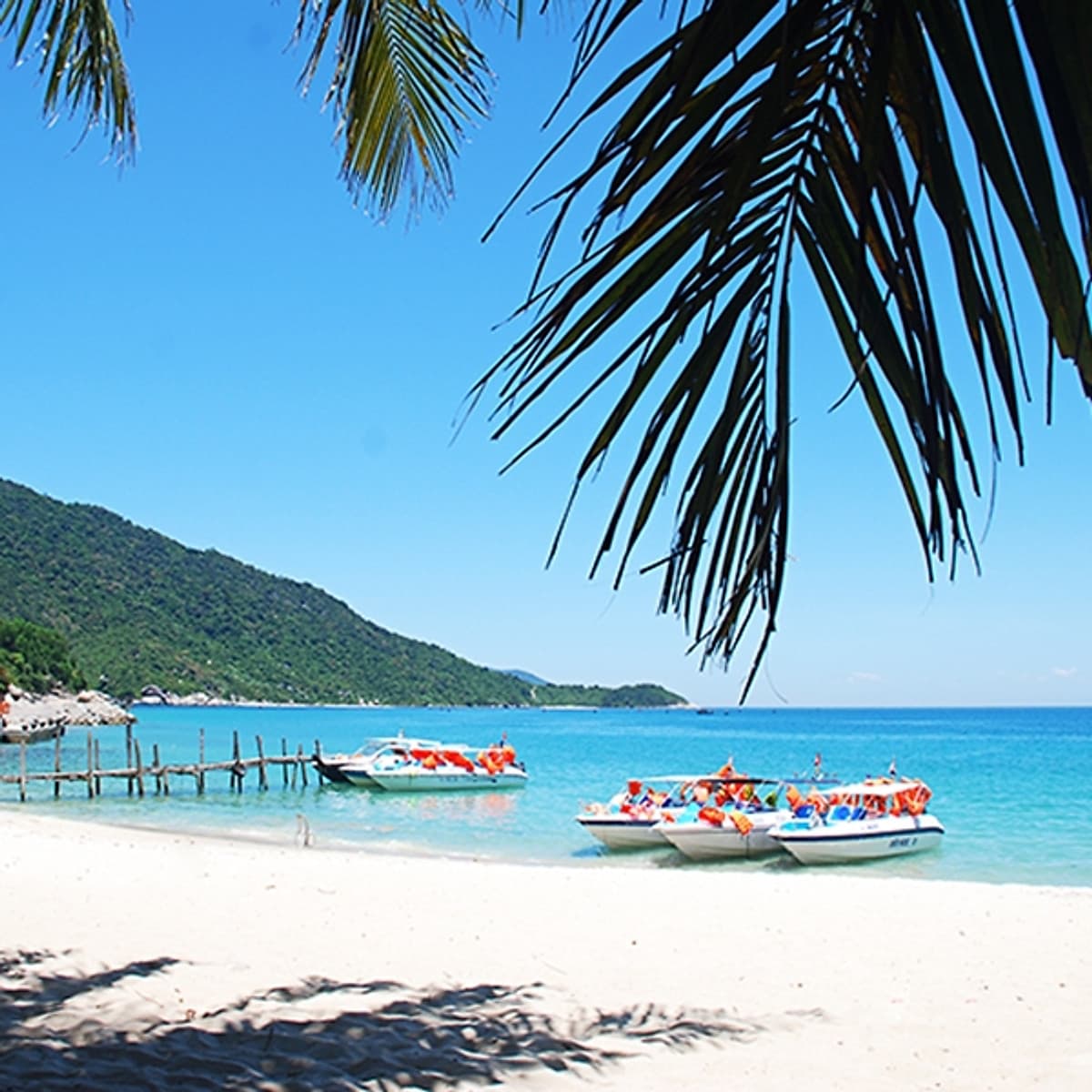 Tour Cù Lao Chàm 01 Ngày, Đón Từ Đà Nẵng, Gồm Lặn Ngắm San Hô & Bữa Trưa Hải Sản