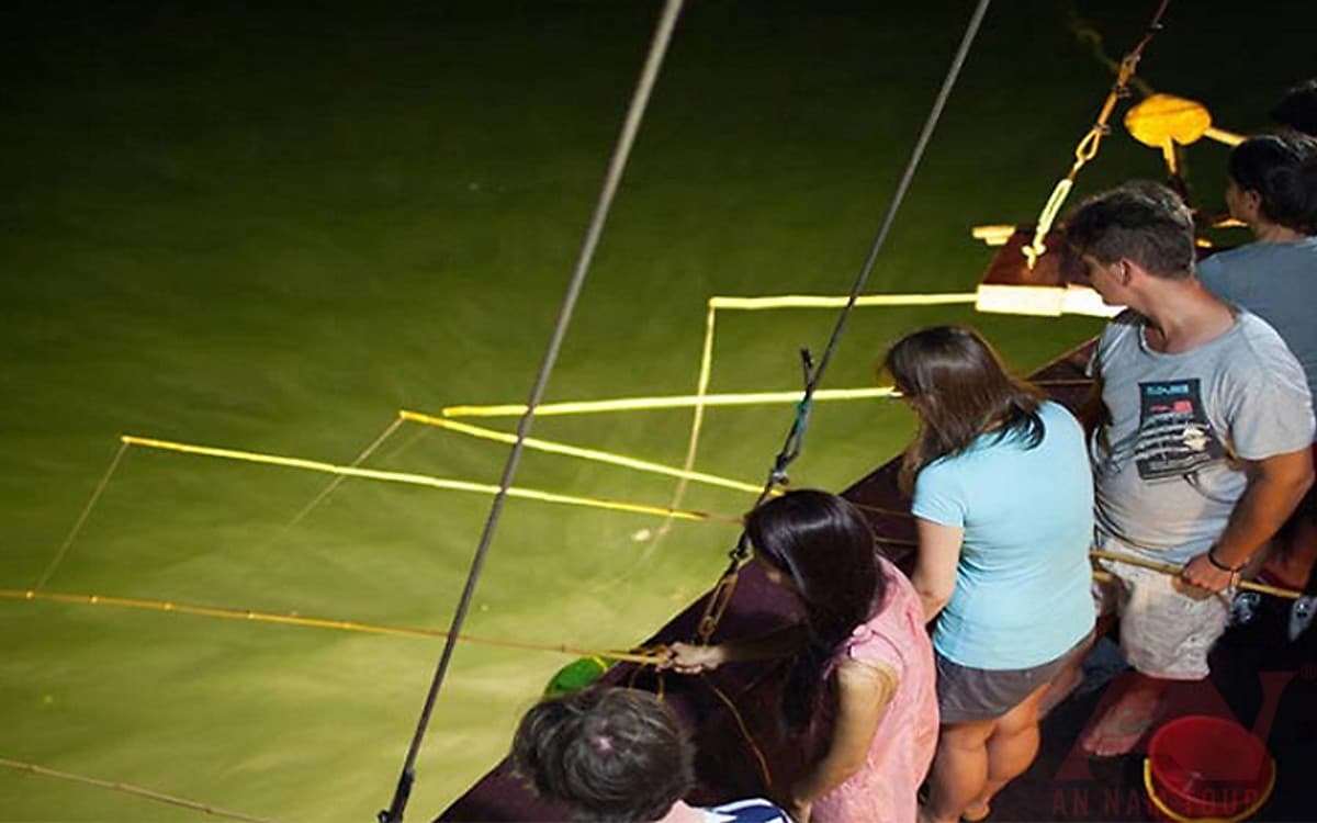 NHA TRANG: Tour Câu Mực Đêm Thú Vị Trải Nghiệm Hoạt Động Câu Mực Và Dùng Bữa Tối Giữa Đại Dương | Tour Trọn Gói Bao Gồm  Gói Bao Gồm Xe Đưa Đón + Tàu Vận Chuyển + HDV + Bữa Tối + Cần Câu