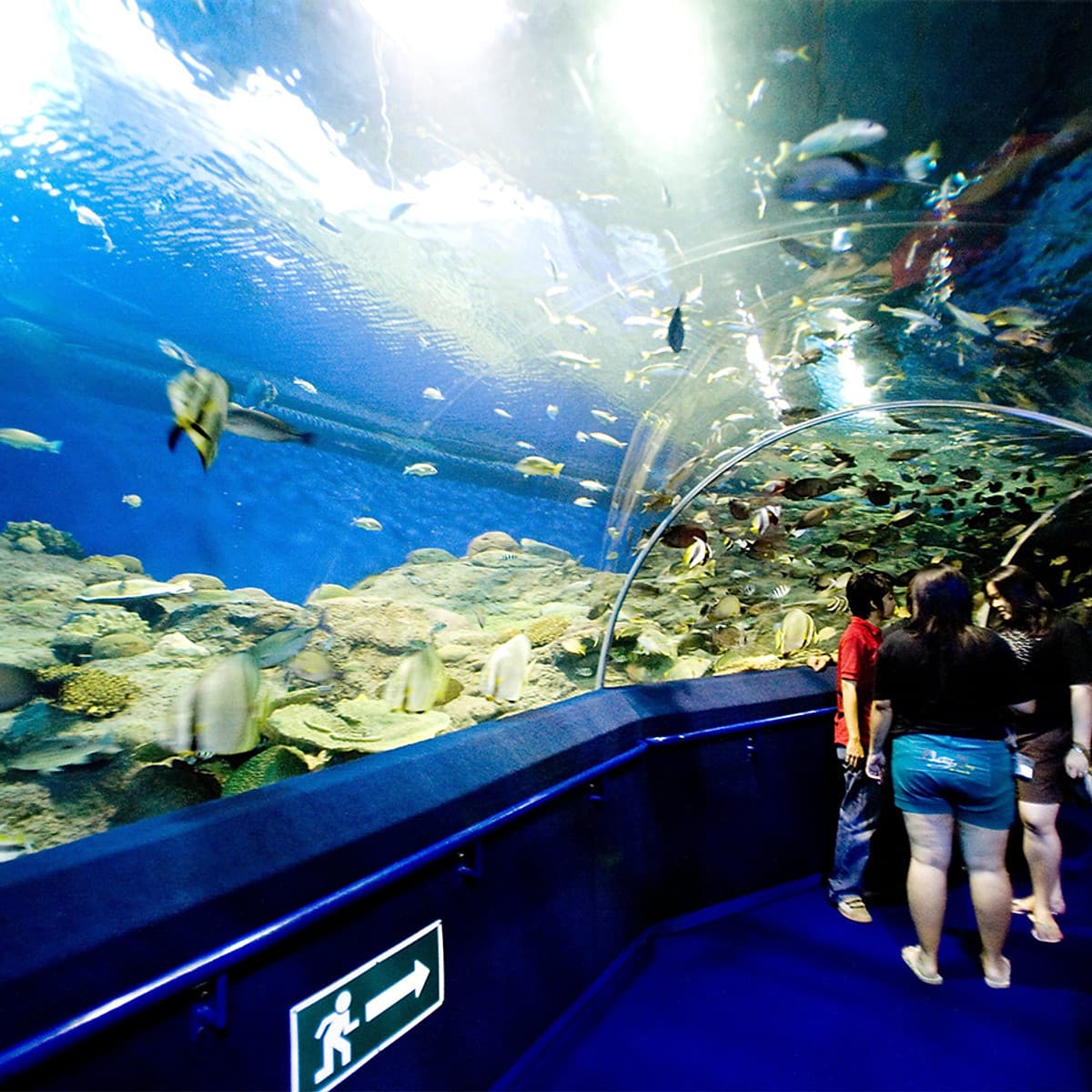 Vé Thủy Cung Underwater World Ở Pattaya, Thái Lan