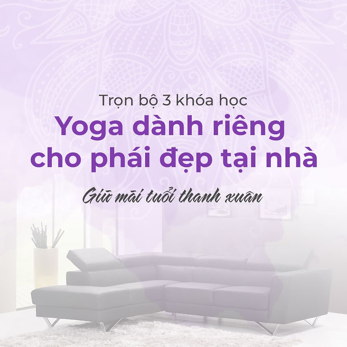 Bộ 3 khóa học Yoga dành riêng cho phái đẹp tại nhà