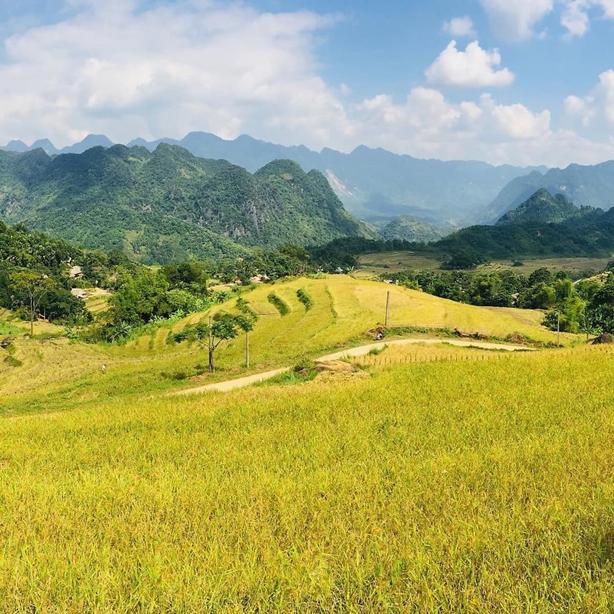 Tour 4N3Đ Hà Nội - Mai Châu - Pù Luông - Suối Cá Thần - Thung Nham - Chùa Tam Chúc, Khởi Hành Thứ 5 Hàng Tuần & Dịp Lễ Tết