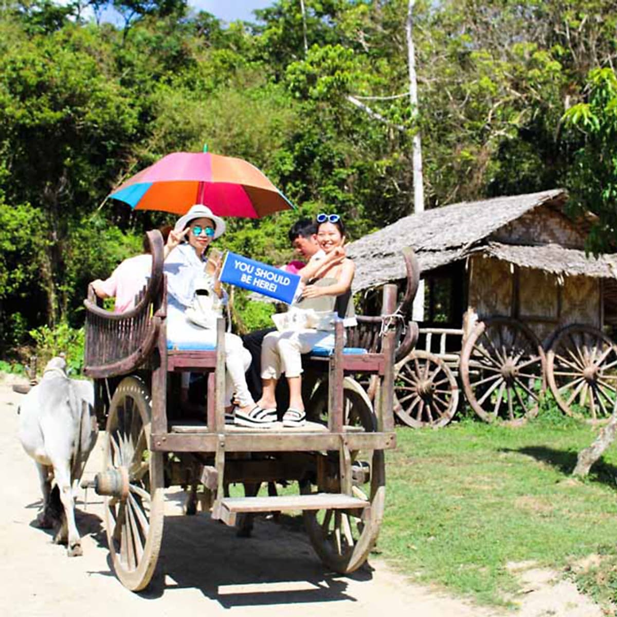 Vé Phuket Safari Gói D + Bữa Tối (14:30-19:00)