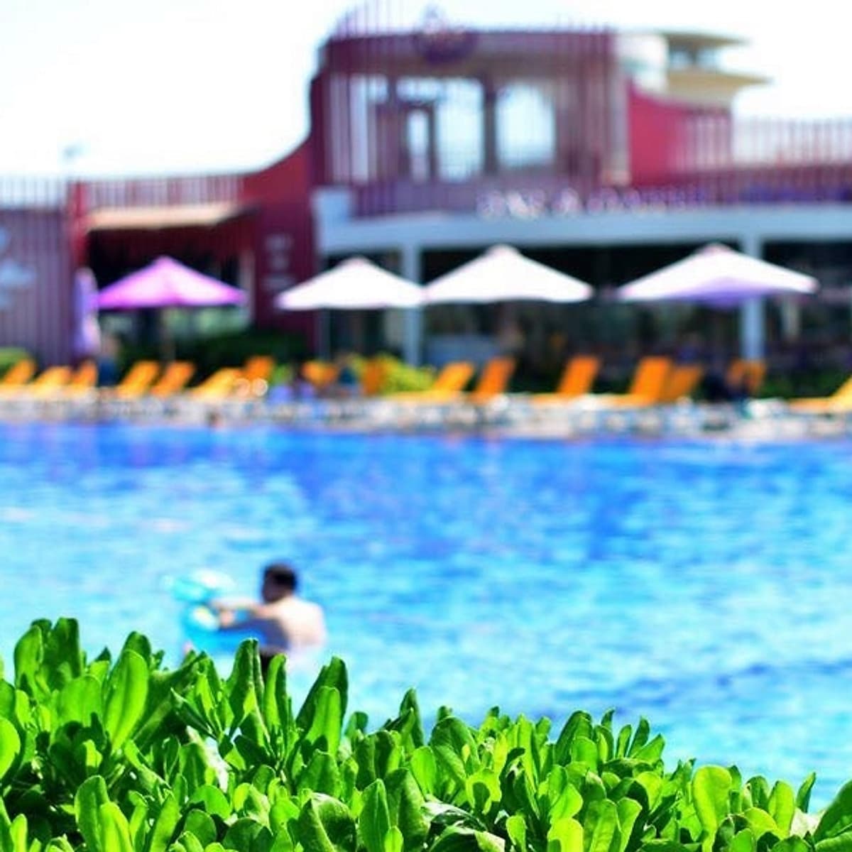 Don Villa Oceanami Long Hải 04 Phòng Ngủ Dành Cho 08 Người Lớn & 04 Trẻ Em, Sử Dụng Bếp, Lò Nướng BBQ Thỏa Thích