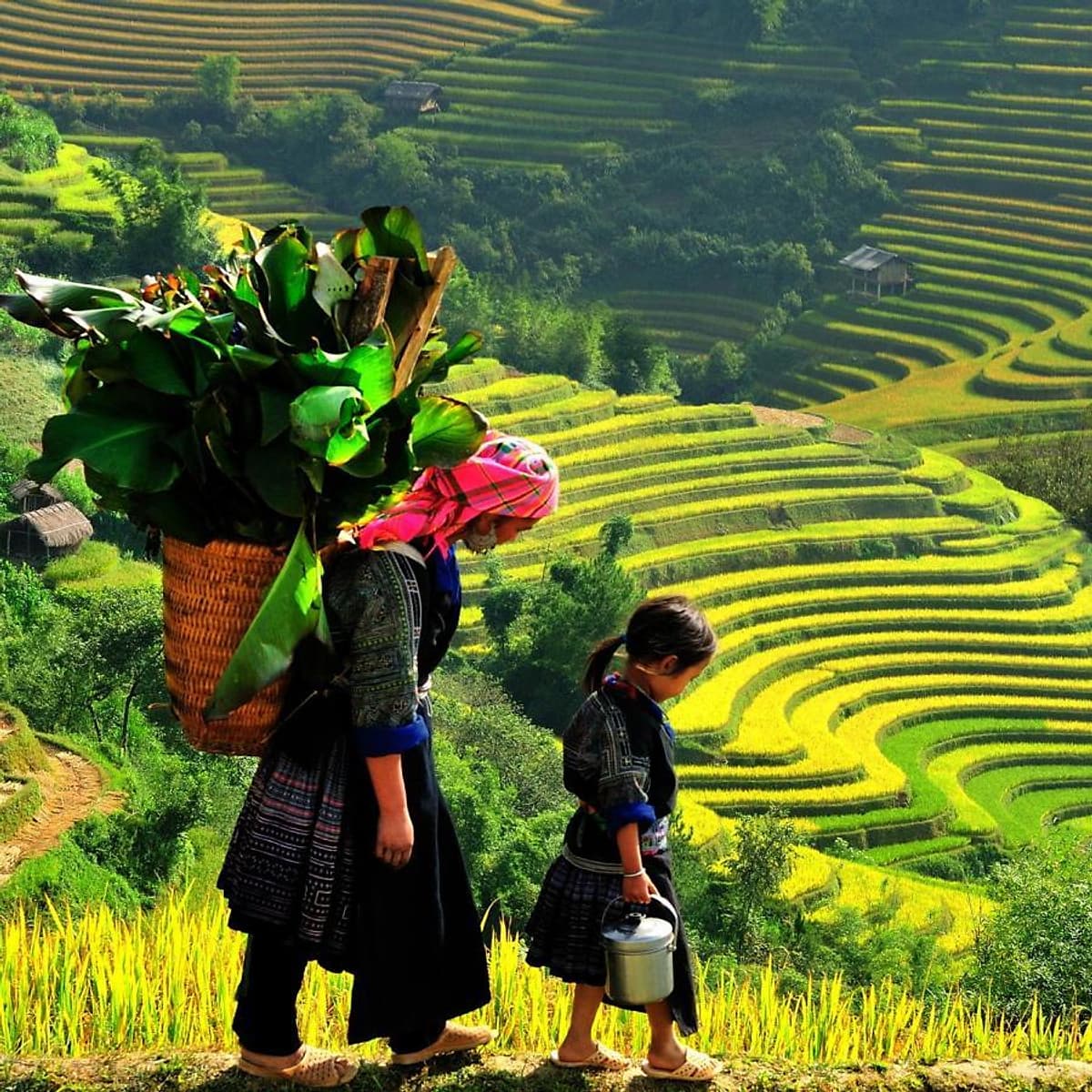 Tour HN - Sapa - KS 3 Sao & Homestay 3N2Đ, Xe Fuso Limosine, Khởi Hành Hàng Ngày