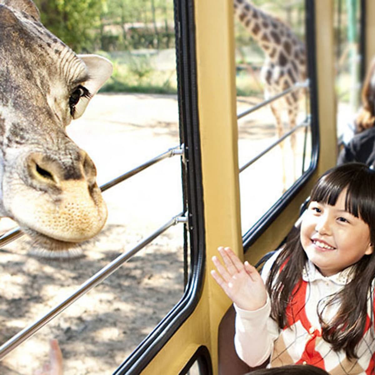 Vé Tham Quan Công Viên Everland Hàn Quốc