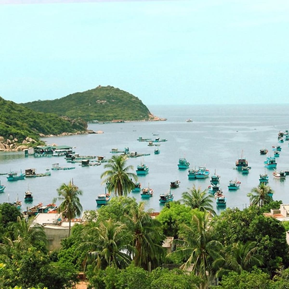 Tour Bình Hưng - Lặn Ngắm San Hô 2N2Đ, Xe Giường Nằm, Khởi Hành Tối Thứ 6 Hàng Tuần & Dịp Lễ Tết