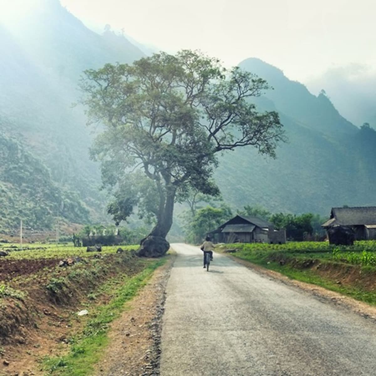 Tour 4N3Đ HCM - HN - Hà Giang - Hẻm Tu Sản - Sông Nho Quế - Lũng Cú - Đồng Văn, Gồm Vé Máy Bay, Khởi Hành Thứ 5 Hàng Tuần & Dịp Lễ Tết