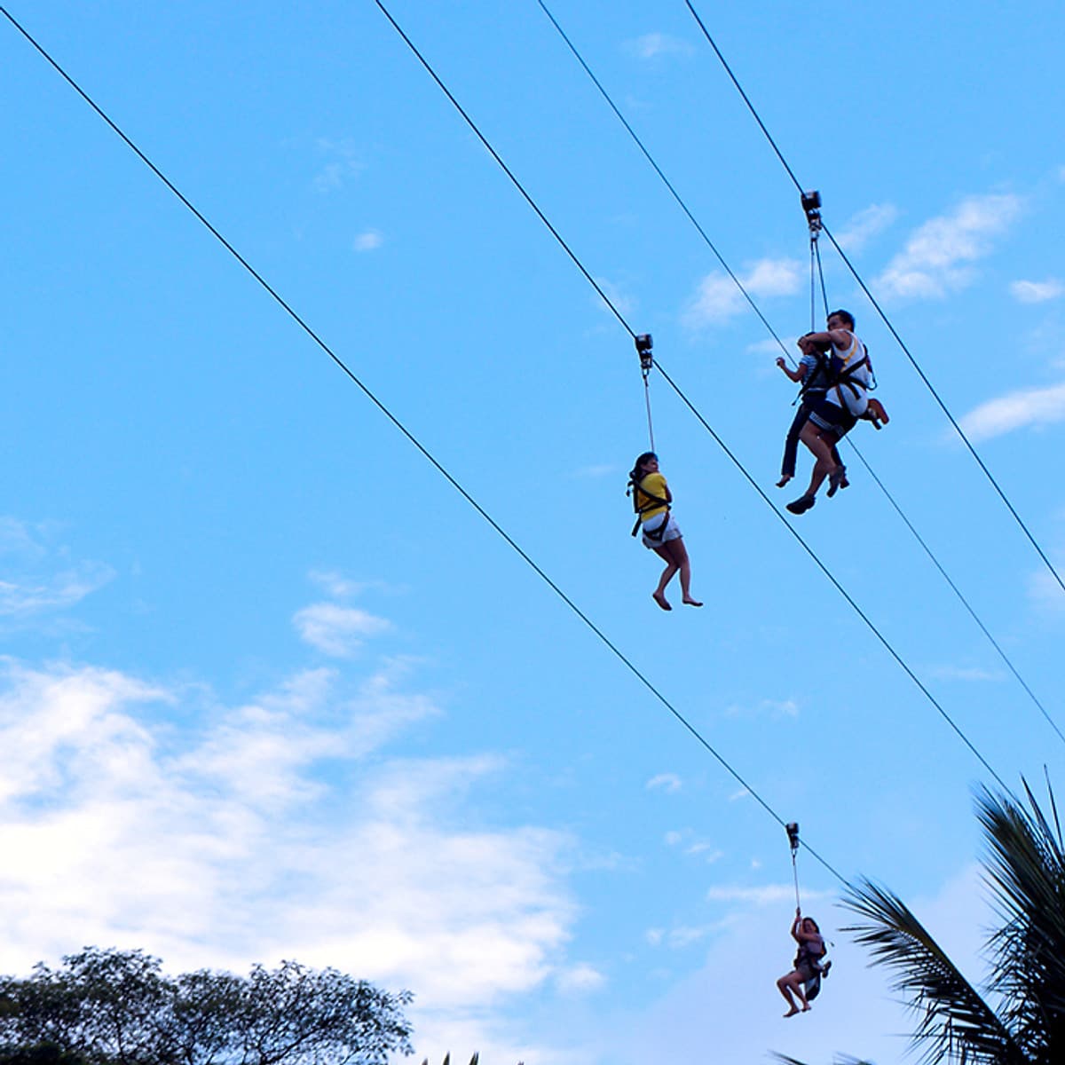 Vé Megazip Adventure Ở Sentosa Singapore