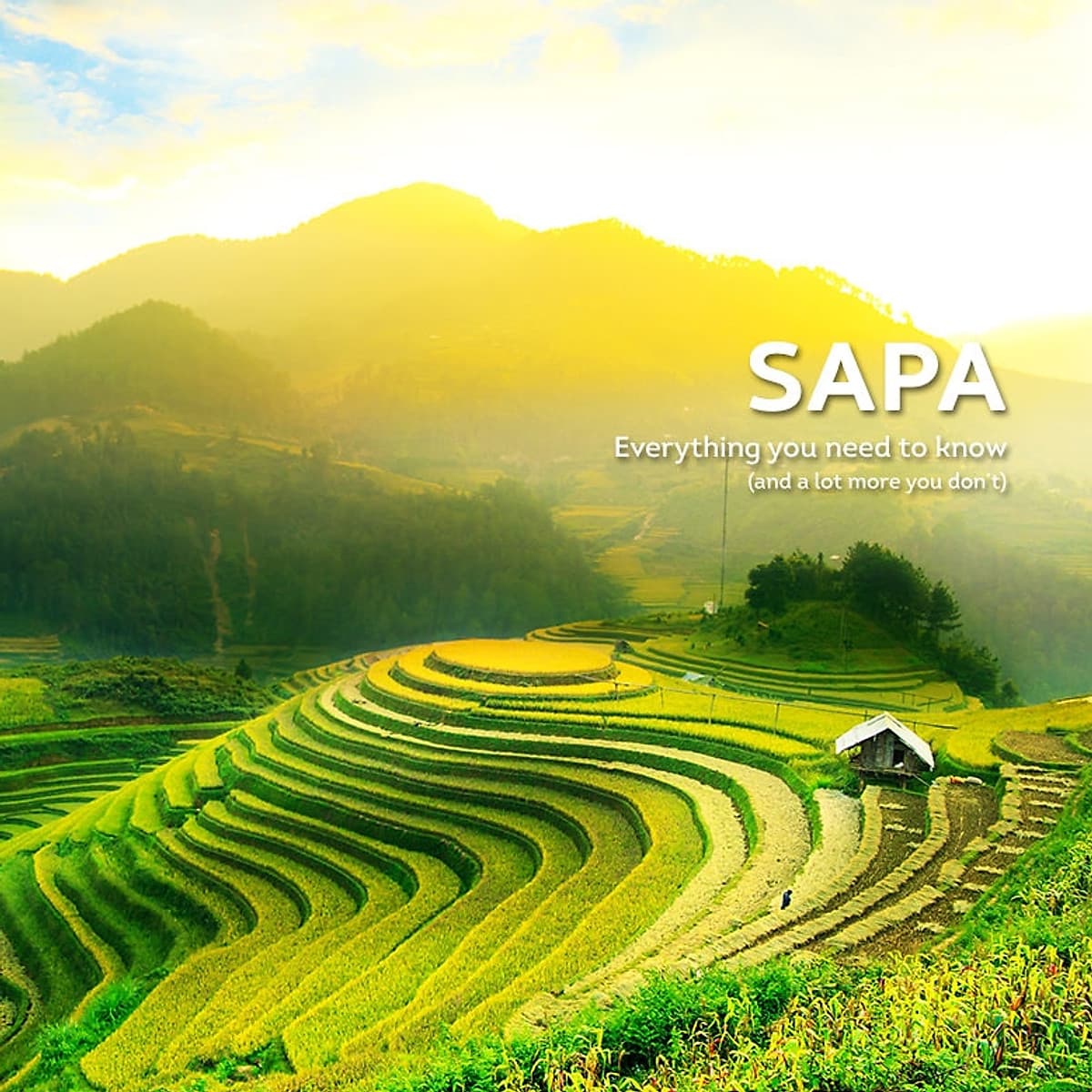 Tour HN - Sapa - Homestay 2N1Đ, Xe Fuso Limosine: Lao Chải - Tả Van - Cát Cát, Khởi Hành Hàng Ngày