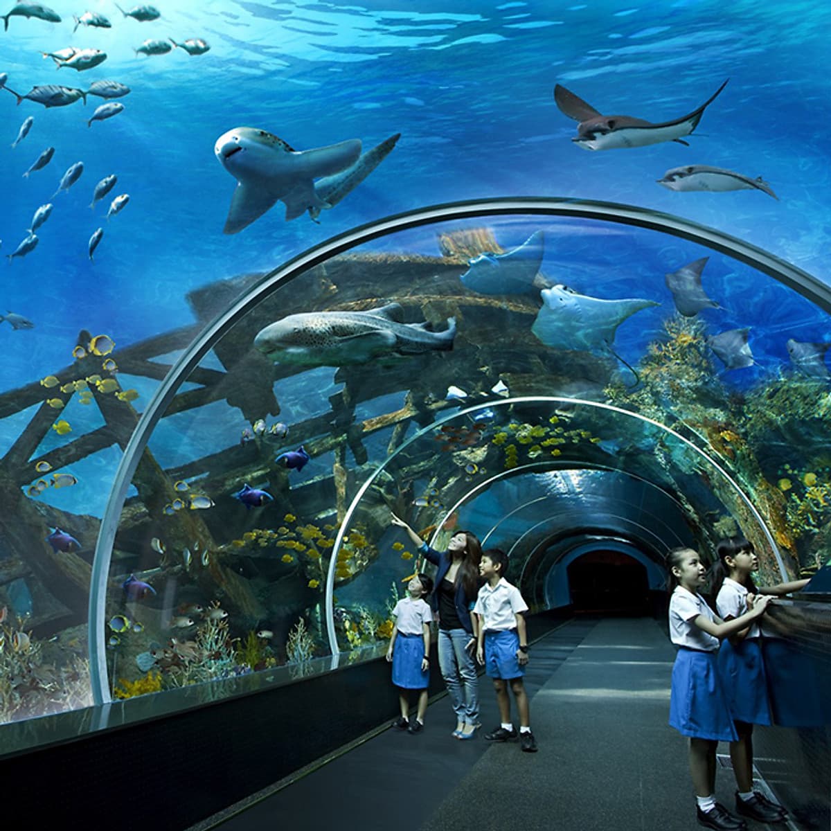 Vé Tham Quan Thủy Cung Sea Aquarium Singapore Tại Sentosa