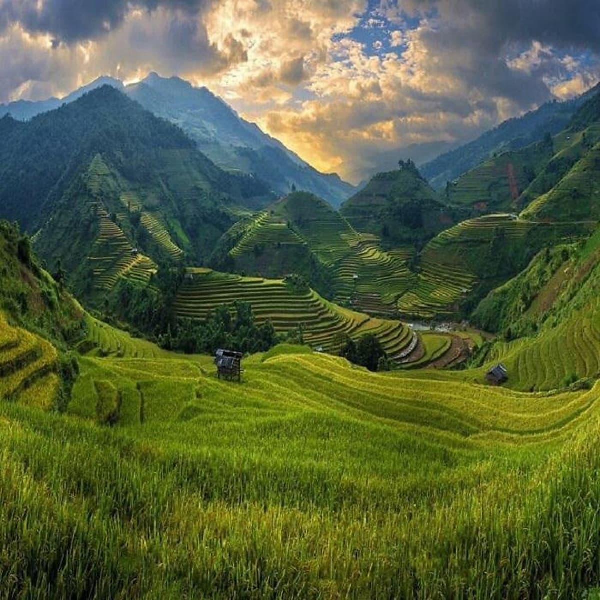 Tour Mù Cang Chải - Sapa - Ngọc Chiến 3N2Đ, Khởi Hành Thứ 6 Hàng Tuần & Dịp Lễ