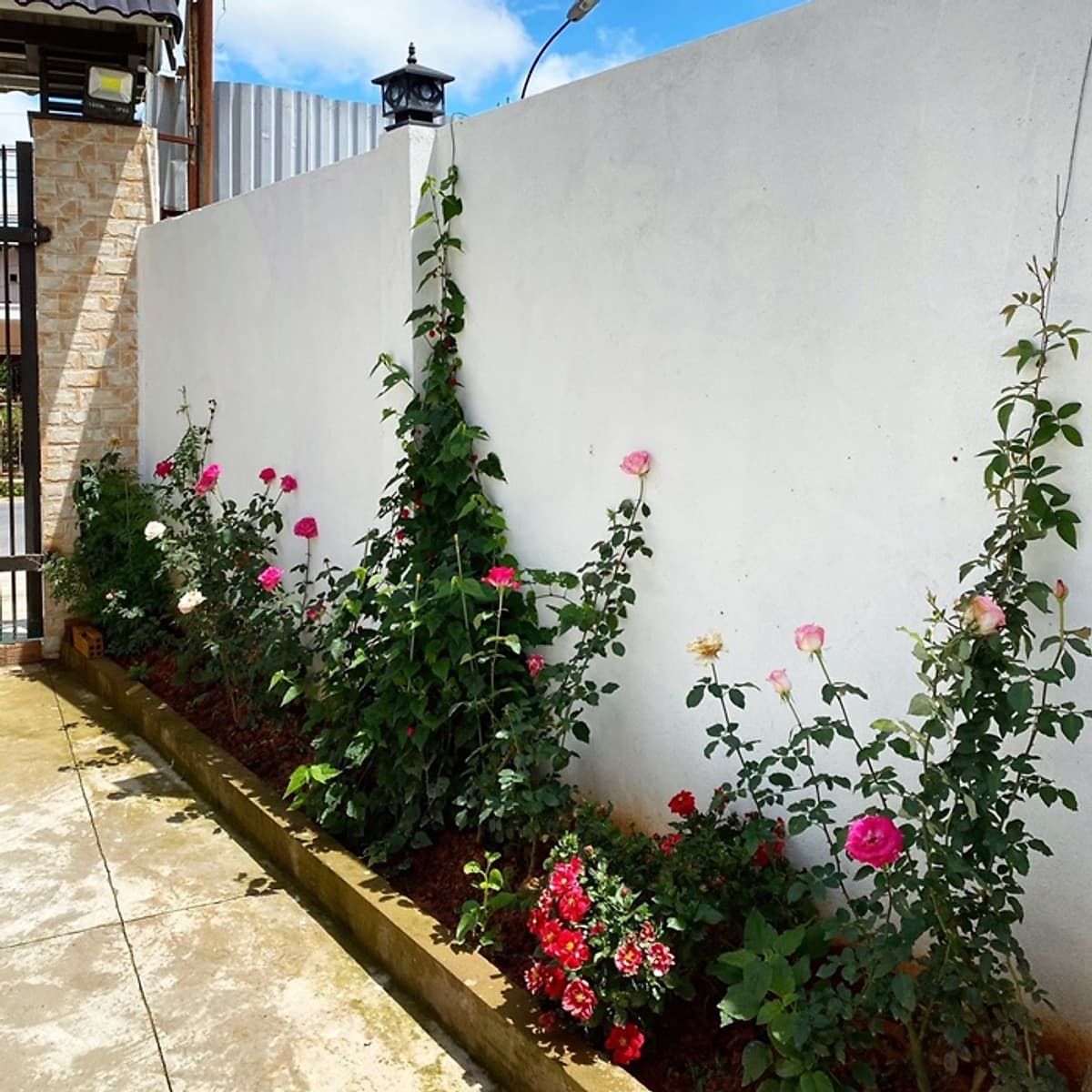 Don Villa Hồ Xuân Hương Đà Lạt - 04 Phòng Ngủ Dành Cho 10 Người Lớn, Gần Làng Hoa Thái Phiên, Hồ Than Thở