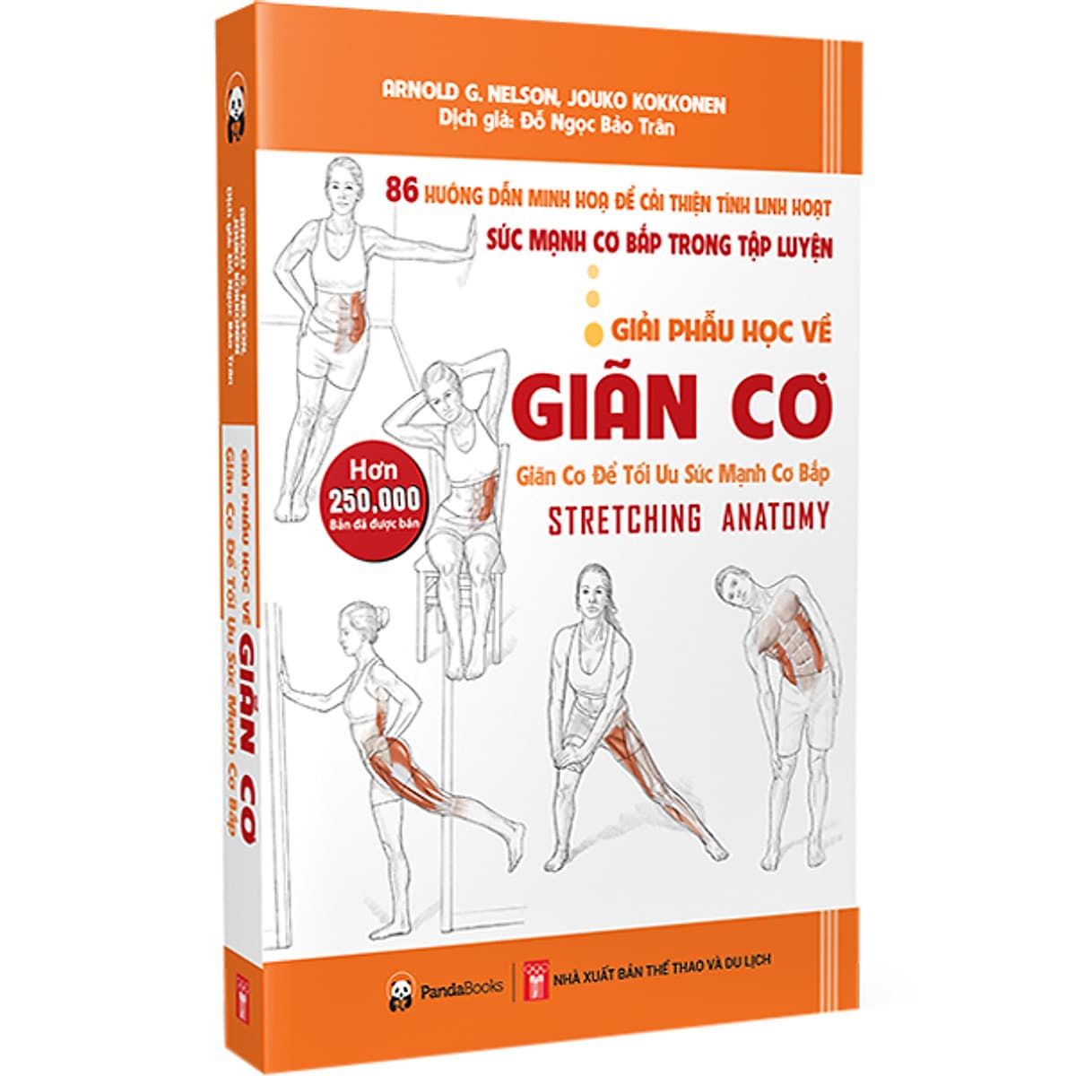 Giải Phẫu Học Về Giãn Cơ - 
Giãn Cơ Để Tối Ưu Sức Mạnh Cơ Bắp