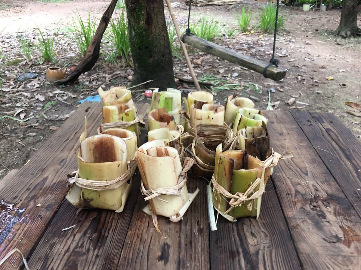 Tour "Mùa hè ở nông trại" - Cùng con khám phá thiên nhiên hồ Trị An 2N1Đ