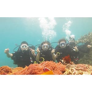 NHA TRANG: Tour 4 Đảo Và Lặn Biển Khám Phá Thế Giới Đại Dương Ngắm San Hô Trọn Gói Xe Đưa Đón Khách Sạn + Canoe/Tàu Ra Đảo + Ăn Trưa + Vé Tham Quan
