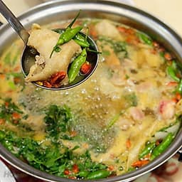 Goimon.net - Hotpot House- Lẩu gà ớt hiểm 1 con dành cho 2-3 người ăn