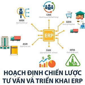Khóa Học Hoạch Định Chiến Lược, Tư Vấn Và Triển Khai ERP