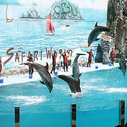 Vé Safari World Bangkok, Thái Lan - Package C: Safari Park + Marine Park + Show Thú