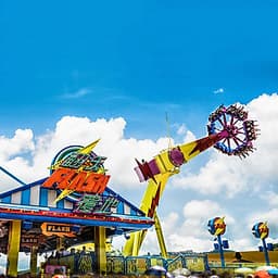 Vé Tham Quan Công Viên Ocean Park, Hong Kong