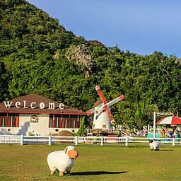 Vé Nông Trại Cừu Swiss Sheep Farm Pattaya