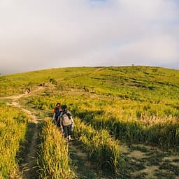 Tour 2N3Đ Sài Gòn - Trekking Thảo Nguyên Pal Sol - Tỉnh Đăk Lăk, Xe Giường Nằm, Khởi Hành Tối Thứ 6 Hàng Tuần