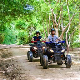 Vé Tham Quan Làng Voi Pattaya, Thái Lan - Một Giờ Trekking Cùng Voi (16:00 - 17:00)