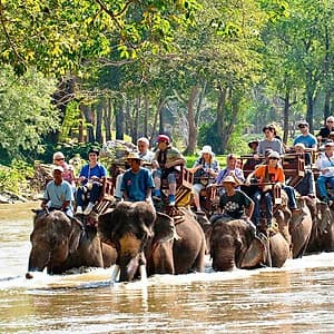 Vé Tham Quan Làng Voi Pattaya, Thái Lan - Một Giờ Trekking Cùng Voi (16:00 - 17:00)