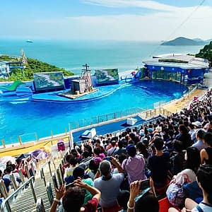 Vé Tham Quan Công Viên Ocean Park, Hong Kong
