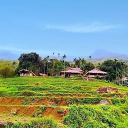 Tour 4N3Đ Hà Nội - Mai Châu - Pù Luông - Suối Cá Thần - Thung Nham - Chùa Tam Chúc, Khởi Hành Thứ 5 Hàng Tuần & Dịp Lễ Tết
