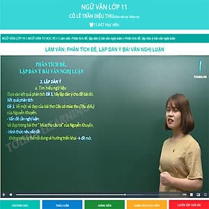 Khóa học NGỮ VĂN LỚP 11 cô Diệu Thu - 06 tháng